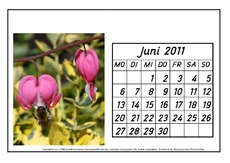 Kalenderblatt-Juni-2011-2.pdf